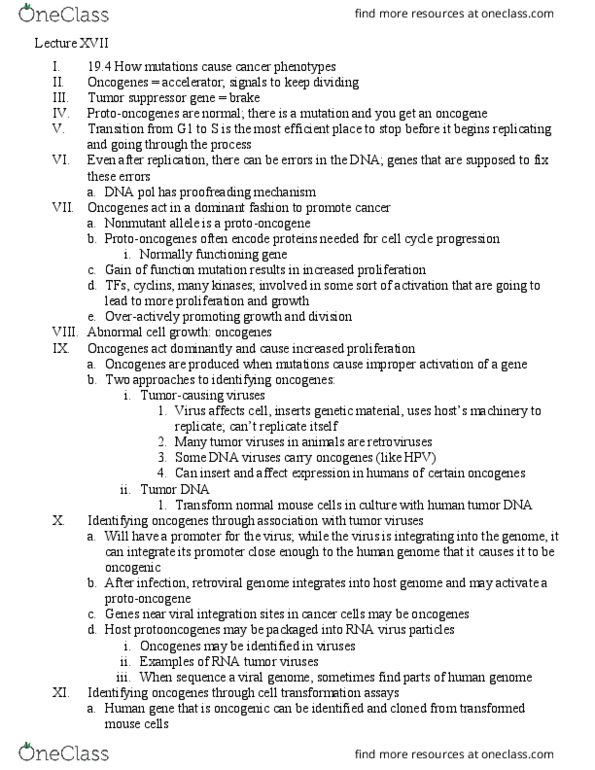 BISC403 Lecture Notes - Lecture 17: Brca2, Cytoskeleton, Dna Mismatch Repair thumbnail