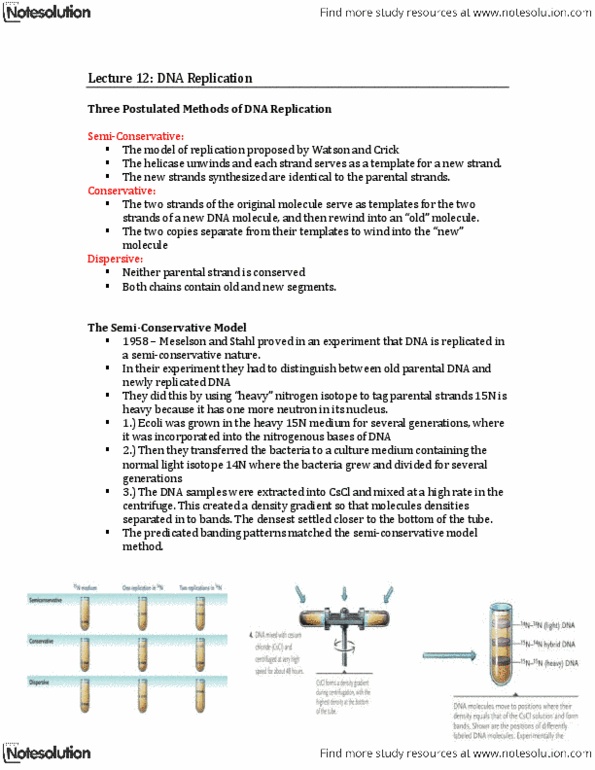 Biology 1202B Lecture Notes - Lecture 12: Dna Replication, Helicase, Dna Ligase thumbnail