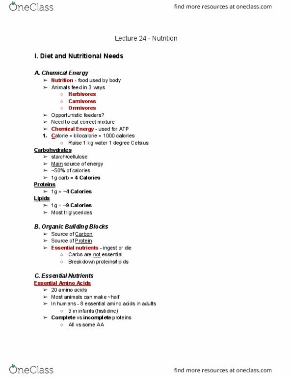 01:119:116 Lecture Notes - Lecture 24: Leptin, Overnutrition, Mouth thumbnail