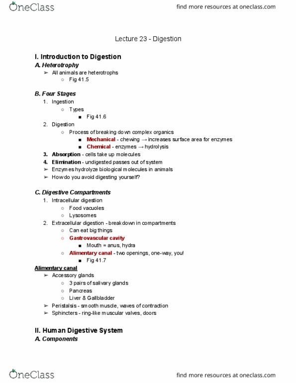 01:119:116 Lecture Notes - Lecture 23: Pancreatic Juice, Cell Nucleus, Microvillus thumbnail