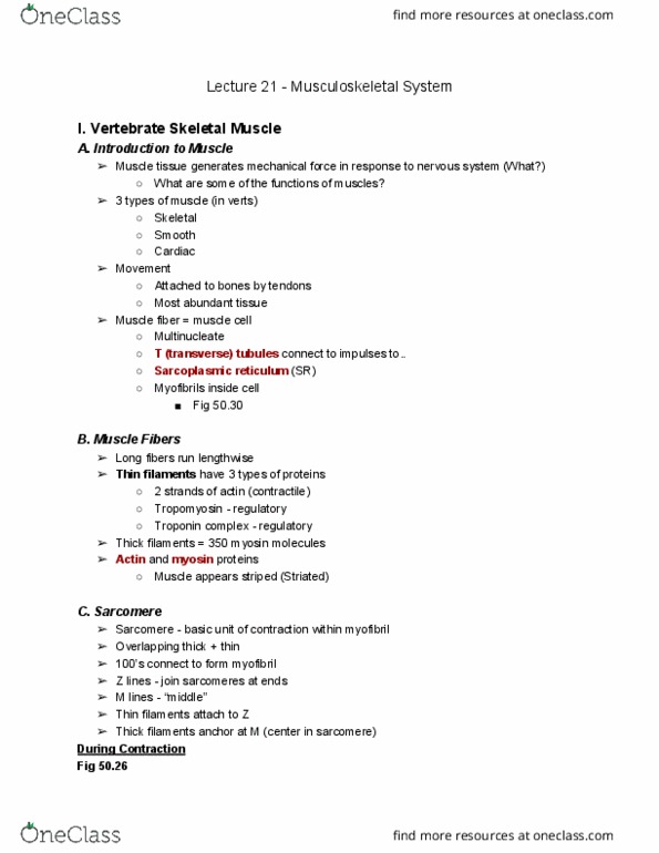 01:119:116 Lecture Notes - Lecture 21: Rigor Mortis, Collagen, Osteoporosis thumbnail