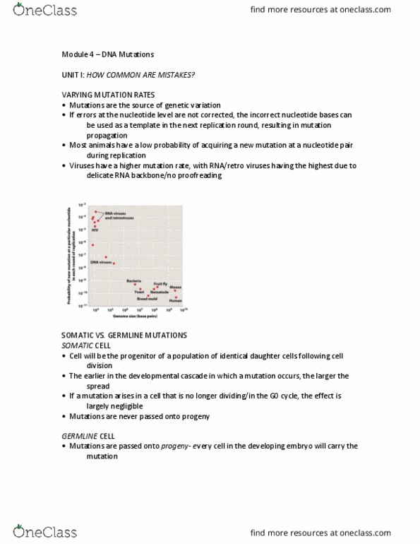 BIOLOGY 1A03 Lecture Notes - Lecture 4: Protein Subunit, Centromere, Missense Mutation thumbnail