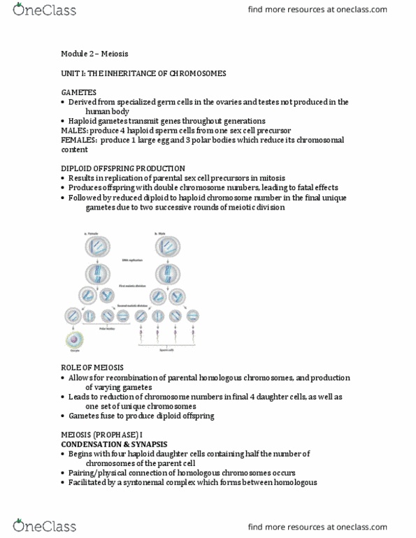 BIOLOGY 1A03 Lecture Notes - Lecture 2: Starch, Gregor Mendel, Mendelian Inheritance thumbnail