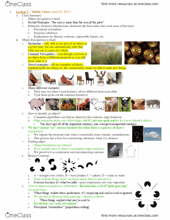 PSC 131 Lecture Notes - Lecture 7: Law School Admission Test, Categorical Perception, Illusory Contours thumbnail