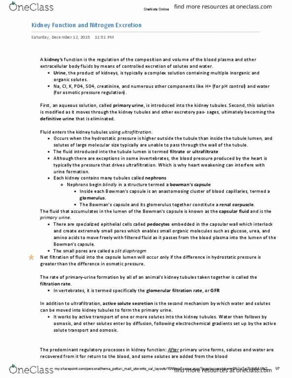 BIOB34H3 Lecture Notes - Lecture 1: Cloaca, Nephron, Osmosis thumbnail