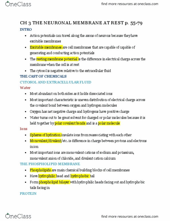 NSC-2201 Chapter Notes - Chapter 3: Astrocyte, Nernst Equation, Potassium Channel thumbnail