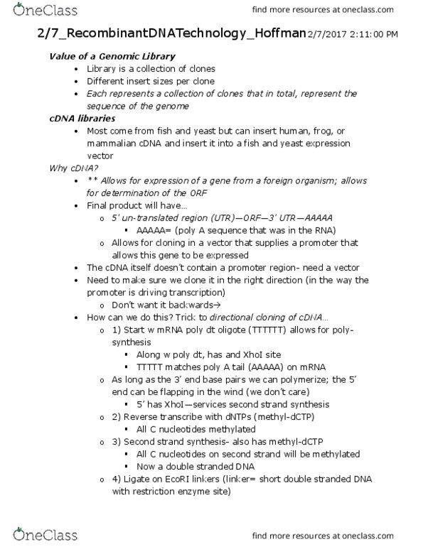 BIOL 5060 Lecture Notes - Lecture 8: Autoradiograph, Comparative Genomics, Intron thumbnail