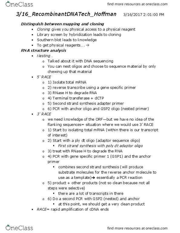 BIOL 5060 Lecture Notes - Lecture 15: Myc, Polyadenylation, Reading Frame thumbnail