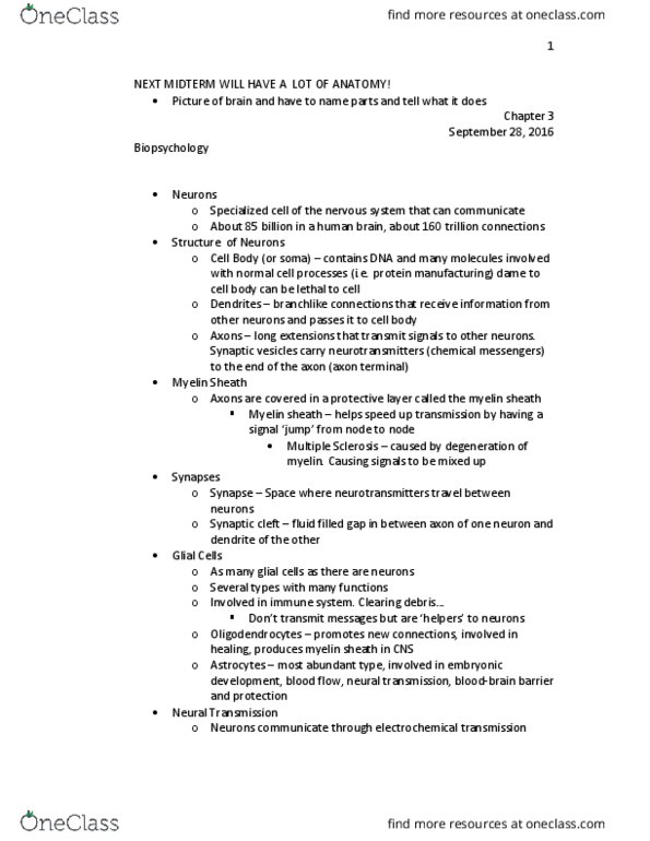 PSYC-104 Lecture Notes - Lecture 2: Sclera, Semicircular Canals, Blue Cheese thumbnail