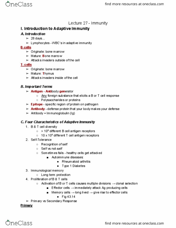 01:119:116 Lecture Notes - Lecture 27: Apoptosis, Perforin, Phagocytosis thumbnail