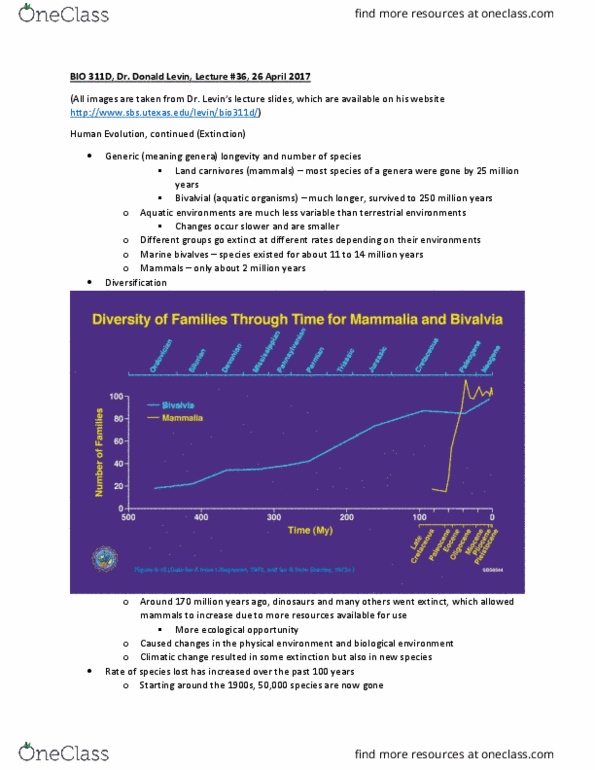 document preview image