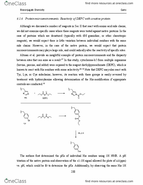 CHEM564 Lecture Notes - Lecture 6: Porphyrin, Lysozyme, Alkylation thumbnail