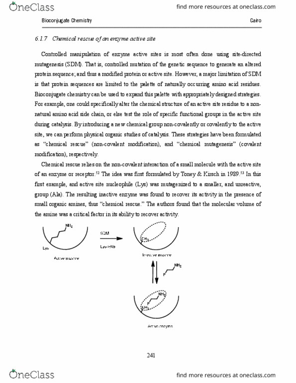 CHEM564 Lecture Notes - Lecture 7: Lyase, Sodium Azide, Glycoside Hydrolase thumbnail
