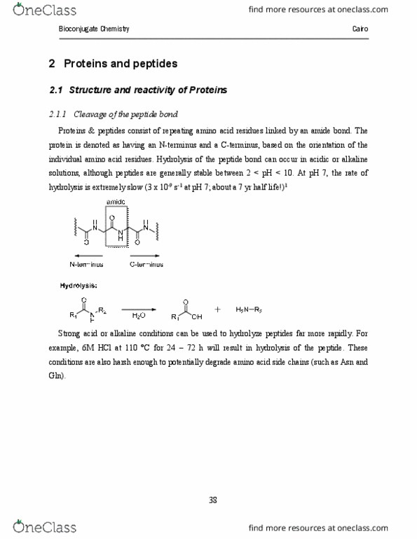 CHEM564 Lecture Notes - Lecture 11: Nitroso, Chymotrypsin, Deblocking Filter thumbnail