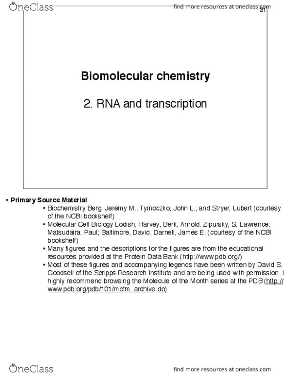 CHEM564 Lecture Notes - Lecture 5: Telomerase Reverse Transcriptase, Pseudoknot, Transfer Rna thumbnail