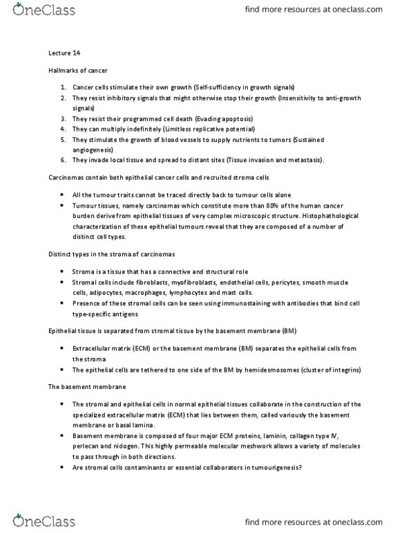 BMS 860 Lecture Notes - Lecture 14: Vimentin, Desmosome, Beta-Catenin thumbnail