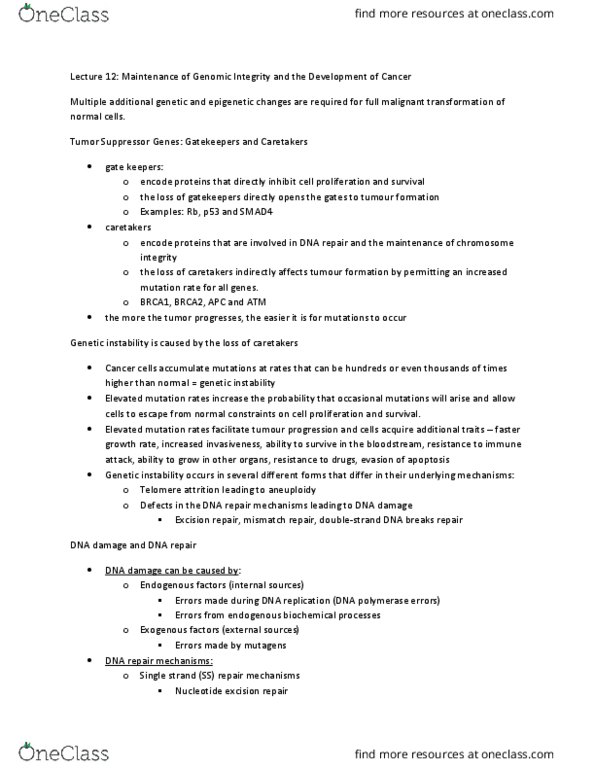 BMS 860 Lecture Notes - Lecture 12: Reactive Oxygen Species, G2 Phase, Benzene thumbnail