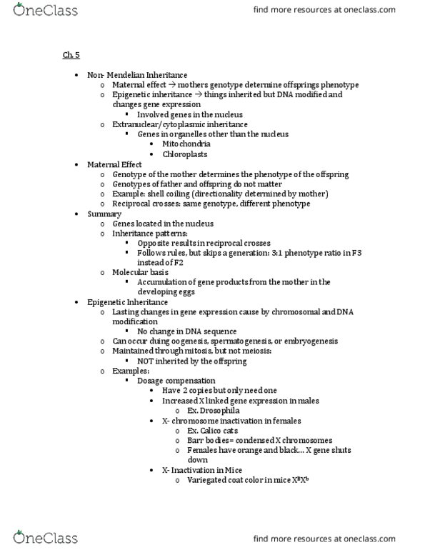 BIO-2400 Lecture Notes - Lecture 5: Genomic Imprinting, Gametogenesis, Y Chromosome thumbnail