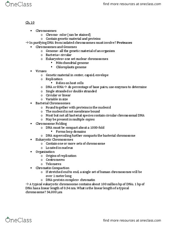 BIO-2400 Lecture Notes - Lecture 10: Nuclear Lamina, Histone H1, Histone H2A thumbnail