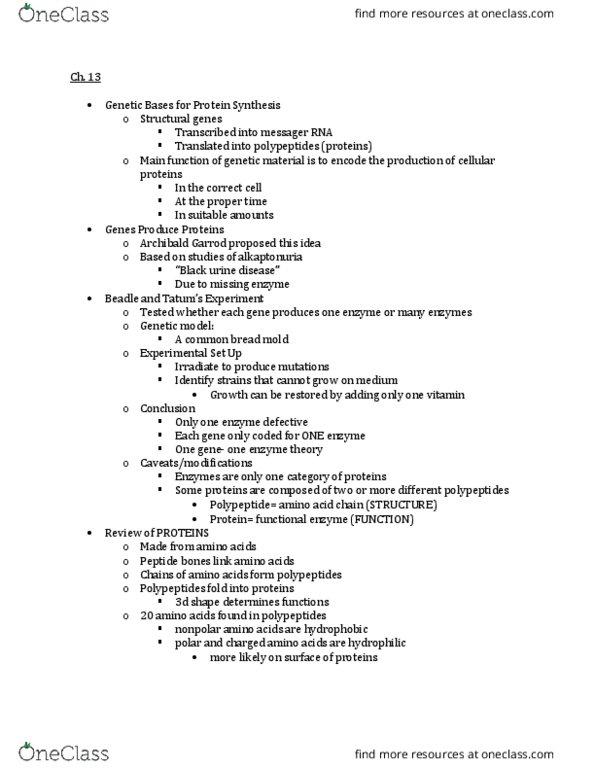 BIO-2400 Lecture Notes - Lecture 13: Ribosome, Proline, Ribosomal Rna thumbnail