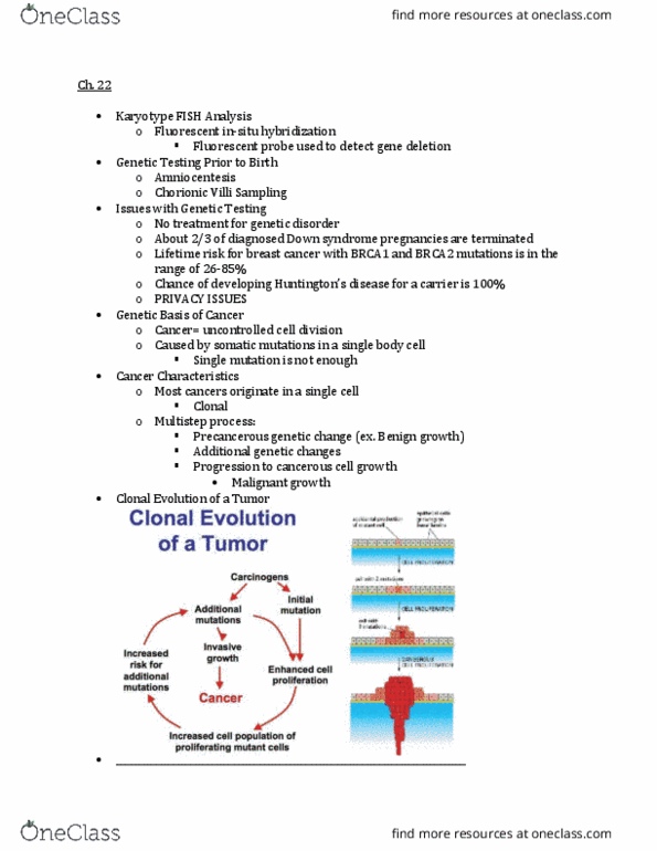 BIO-2400 Lecture Notes - Lecture 22: Spindle Apparatus, Aneuploidy, Chromosome thumbnail