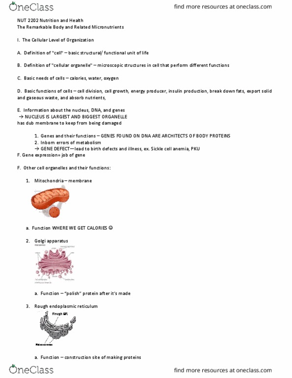 NUT-2202 Lecture Notes - Lecture 10: Capillary, Protease, Mucus thumbnail