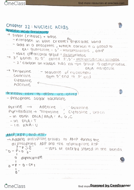 CHEM 221 Lecture 11: Chapter 22 Lecture 11 Notes thumbnail