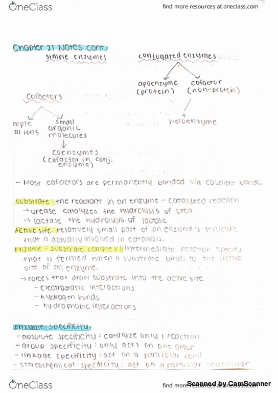 CHEM 221 Chapter 21: Chapter 21 textbook notes (cont.) thumbnail