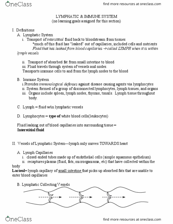 IPHY 3410 Lecture Notes - Lecture 14: Natural Killer Cell, Brachiocephalic Vein, Subclavian Vein thumbnail