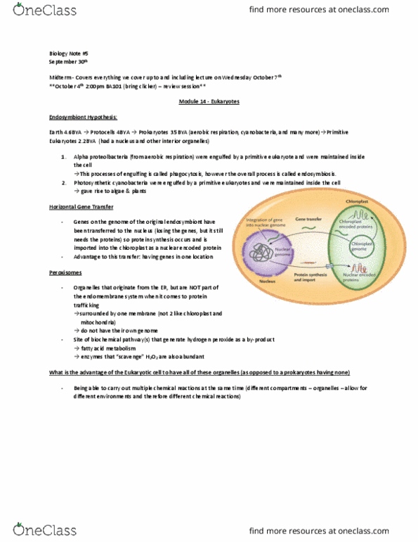 BI110 Lecture Notes - Lecture 5: Endomembrane System, Chloroplast, Horizontal Gene Transfer thumbnail