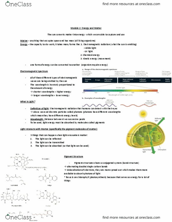 BI110 Lecture Notes - Lecture 2: Eukaryote, Sea Slug, Endergonic Reaction thumbnail