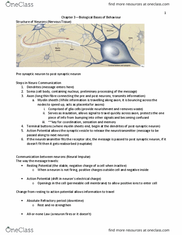 PS101 Lecture Notes - Lecture 3: Olfactory Bulb, Prefrontal Cortex, Twin Study thumbnail