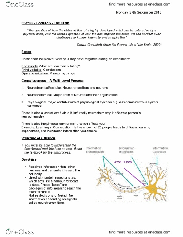 PSY100H1 Lecture Notes - Lecture 5: Benzodiazepine, Gif, Central Nervous System thumbnail