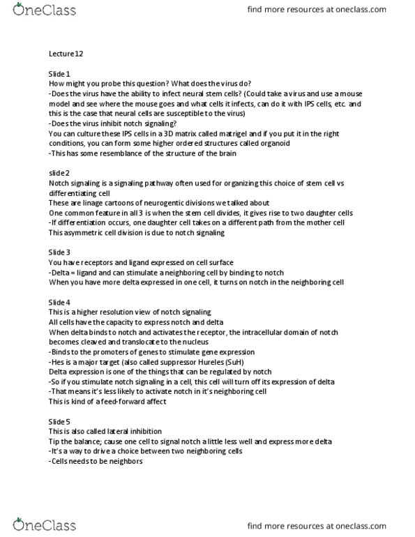 MCDB 423 Lecture Notes - Lecture 12: Radial Glial Cell, Centriole, Microcephaly thumbnail