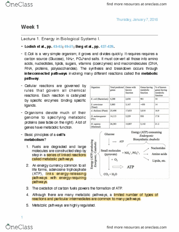 BIOL 201 Lecture Notes - Lecture 1: Heme, Hspa8, Lipid-Anchored Protein thumbnail