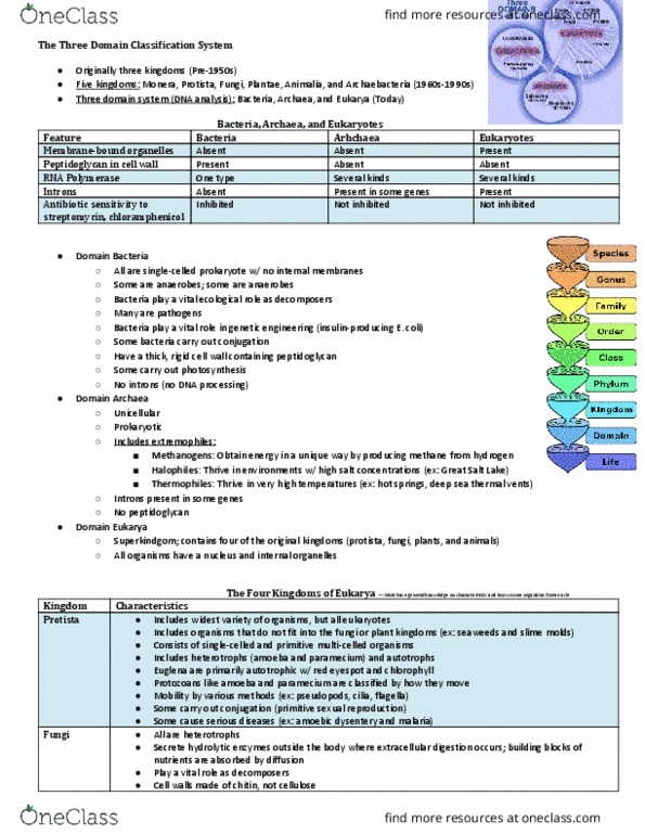 NSCI 1413 Lecture Notes - Lecture 9: Old World Rom, Hominidae, Aortic Arches thumbnail