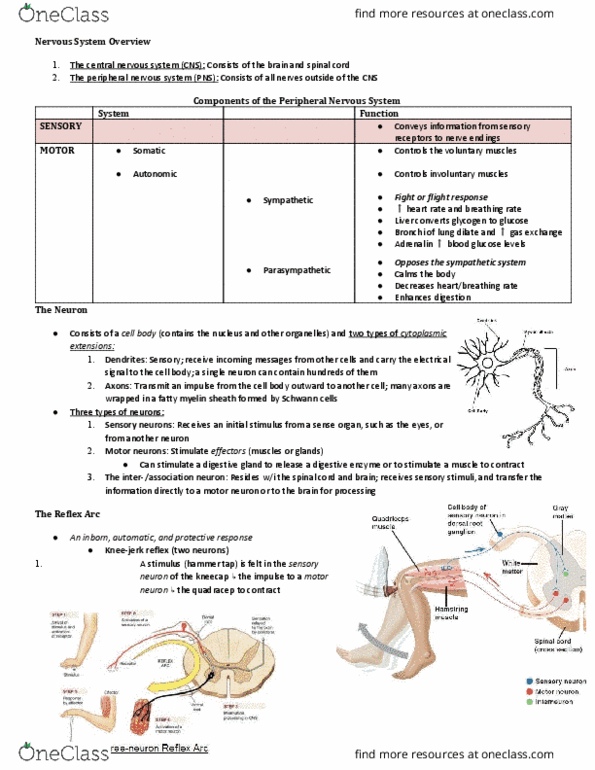 document preview image