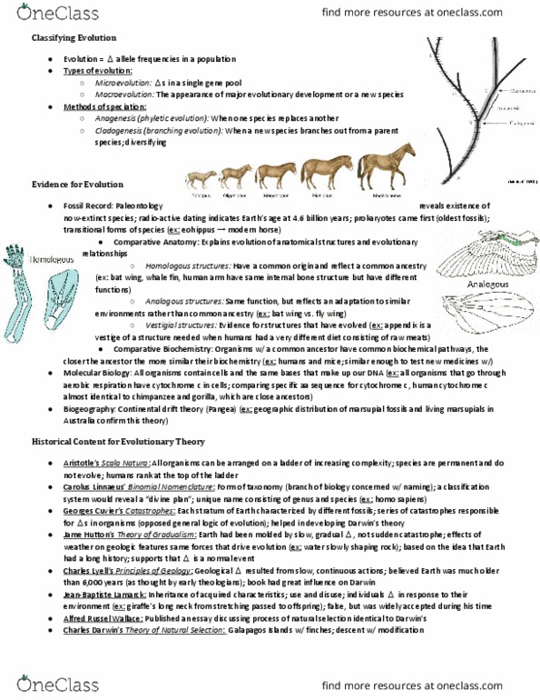 NSCI 1413 Lecture Notes - Lecture 6: Genetic Drift, Sympatric Speciation, Outcrossing thumbnail