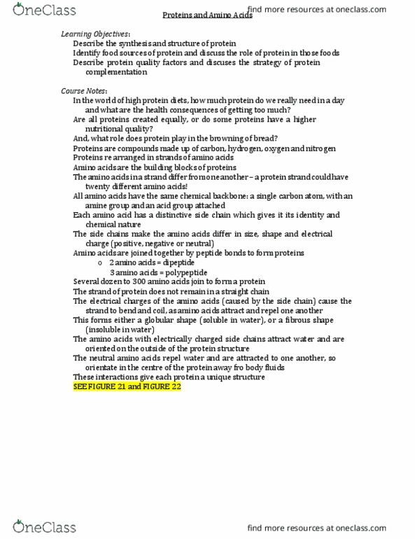 HNSC 1200 Lecture Notes - Lecture 27: Beta Sheet, Peptide, Protein Structure thumbnail