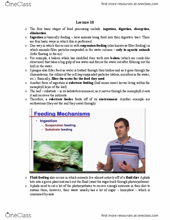 BIOL 1030 Lecture Notes - Lecture 10: Gastrovascular Cavity, Filter Feeder, Daphnia thumbnail