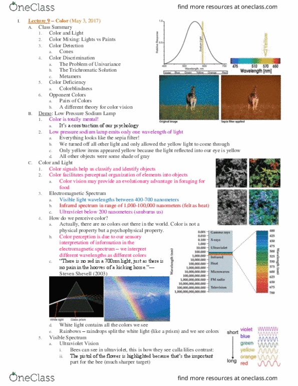 PSC 131 Lecture Notes - Lecture 9: Sodium-Vapor Lamp, Electromagnetic Spectrum, Additive Color thumbnail