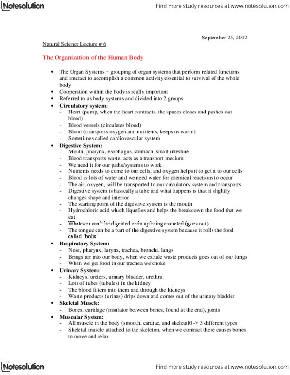 document preview image