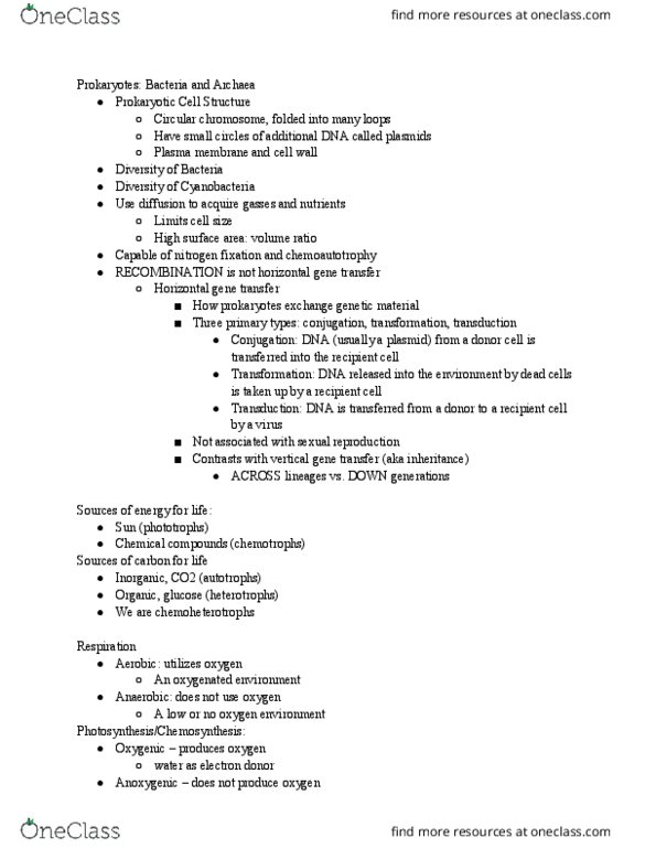 LIFESCI 1 Lecture Notes - Lecture 4: Horizontal Gene Transfer, Anoxygenic Photosynthesis, Microbial Mat thumbnail