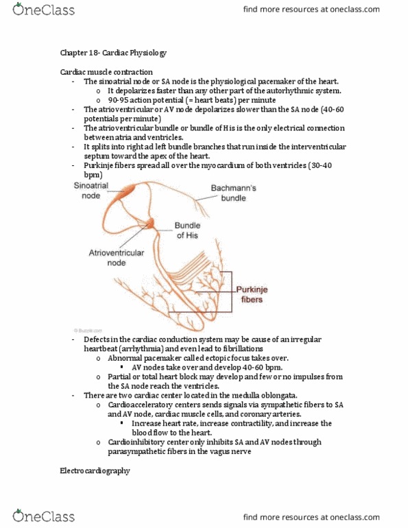 BSC 1086C Chapter Notes - Chapter 18: Mitral Valve Stenosis, Tricuspid Valve Stenosis, Mitral Insufficiency thumbnail