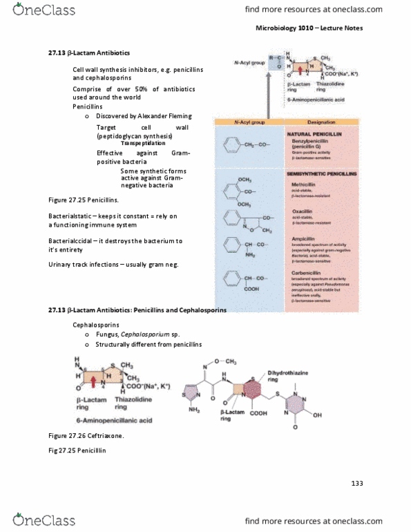 MBIO 1010 Lecture Notes - Lecture 25: Kanamycin A, Lactam, Lactone thumbnail