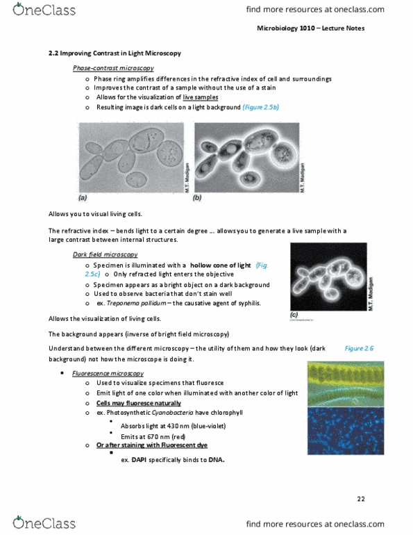 MBIO 1010 Lecture Notes - Lecture 4: Dark Field Microscopy, Bright-Field Microscopy, Fluorescence Microscope thumbnail