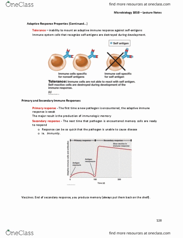 MBIO 1010 Lecture Notes - Lecture 24: Adaptive Immune System, Immunogen, Hapten thumbnail