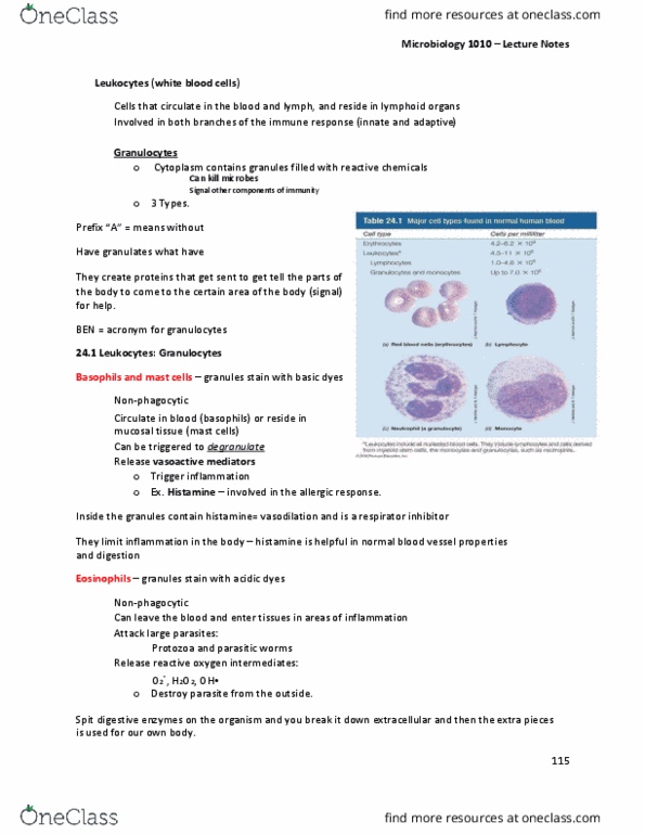 MBIO 1010 Lecture Notes - Lecture 21: Mast Cell, Granulocyte, Innate Immune System thumbnail