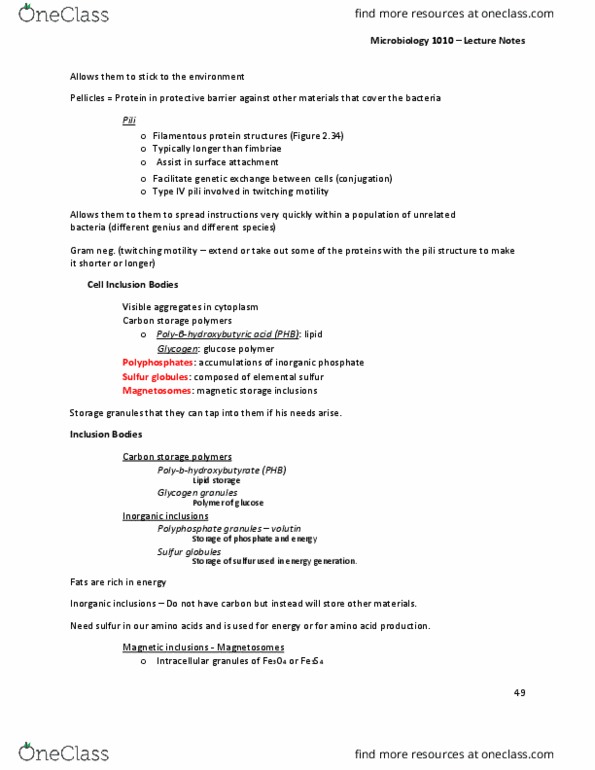 MBIO 1010 Lecture Notes - Lecture 9: Pilus, Magnetic Storage, Polyphosphate thumbnail