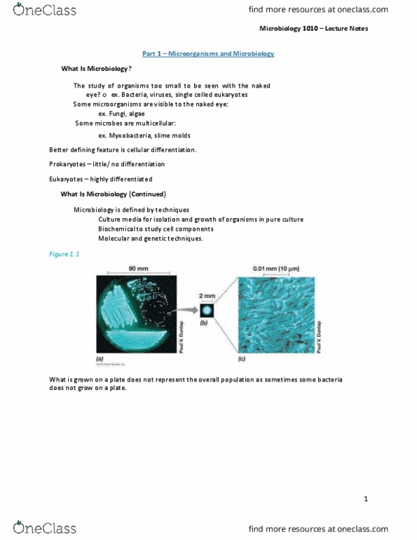 MBIO 1010 Lecture Notes - Lecture 1: Cellular Differentiation, Microbiology, Rhizobacteria thumbnail